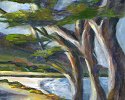 Cypress Trees