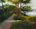Early Morning Scenic Walk